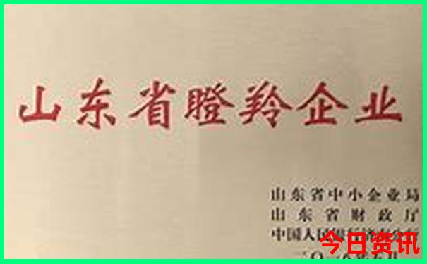 哈尔滨夏天旅游景点必玩
